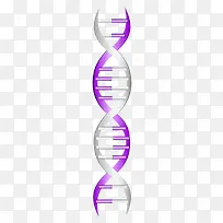 ������DNA-������