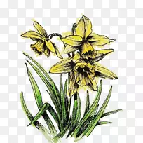 ������������ͼ��.ˮ�ɻ�-������