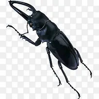 ��ɫ����������-������