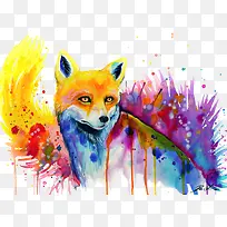 狐狸-空若网 狐狸-空若网