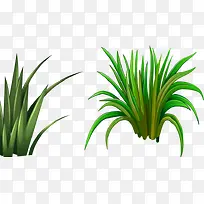 һ����Ҷ��-������