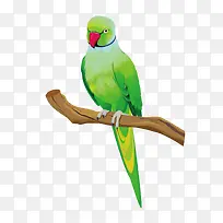 ÂÌÉ«ðÐðÄ-¿ÕÈôÍø ÂÌÉ«ðÐðÄ-¿ÕÈôÍø