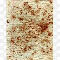 ����ֽ����������-������