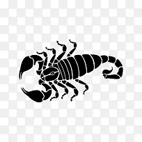 手绘蝎子-空若网 手绘蝎子-空若网