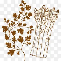 蔬菜-空若网 蔬菜-空若网