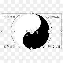 矢量人体八卦素材-空若网 矢量人体八卦素材-空若网