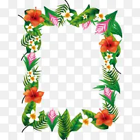 ������ɫֲ��߿�-������