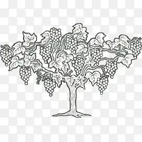 手绘葡萄树果实图案-空若网 手绘葡萄树果实图案-空若网