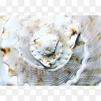 ���Ǳ���-������