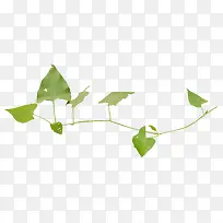 草边-空若网 草边-空若网