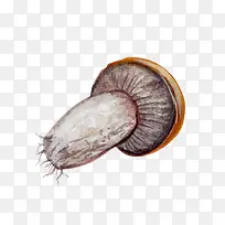 �ᵹ��Ģ��-������