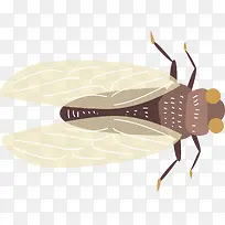 俯视矢量卡通昆虫蝉-空若网 俯视矢量卡通昆虫蝉-空若网