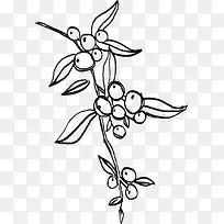 ������֦-������