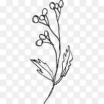 线描树枝-空若网 线描树枝-空若网