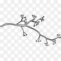 ������֦-������