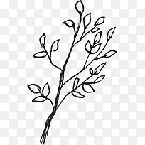 ������֦-������