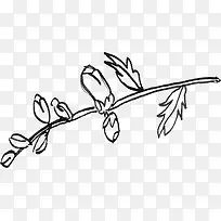 ������֦-������