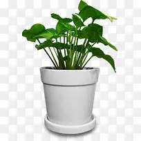 手绘白色花盆绿色植物-空若网 手绘白色花盆绿色植物-空若网
