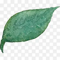 ˮ�ʻ���ֲ��-������