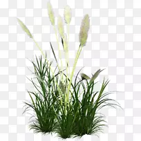 ¹·²ÁÉË²ÝÆºµçÄÔͼ±ê.ÍжùËù-¿ÕÈôÍø ¹·²ÁÉË²ÝÆºµçÄÔͼ±ê.ÍжùËù-¿ÕÈôÍø