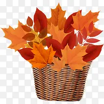 ��ɫ��Ҷ-������