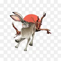 ���Ӻ���֦-������