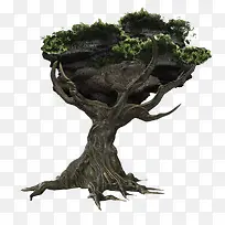 ��-������