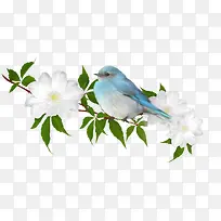 树枝上的麻雀-空若网 树枝上的麻雀-空若网