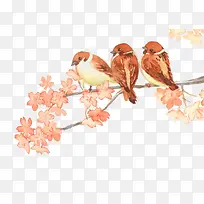 树枝上的麻雀手绘-空若网 树枝上的麻雀手绘-空若网