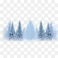 µÉ«µÄÊ÷ÁÖ-¿ÕÈôÍø µÉ«µÄÊ÷ÁÖ-¿ÕÈôÍø