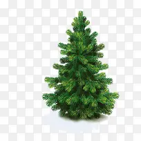 ��ľ-������