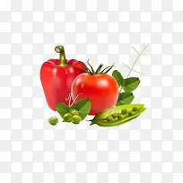 �����߲�-������