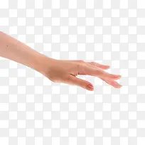 嫩白的手指-空若网 嫩白的手指-空若网