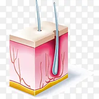 毛发组织身体元素-空若网 毛发组织身体元素-空若网