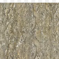 树木花纹摄影-空若网 树木花纹摄影-空若网