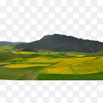 �ຣ׿��ɽʮ��-������