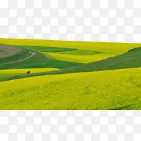 �ຣ׿��ɽʮһ-������