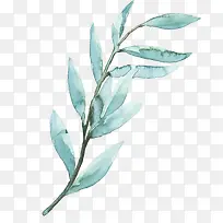 ˮ�ʵ���ɫҶ��֦��-������