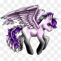 小马驹-空若网 小马驹-空若网