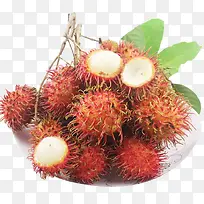 ��ë��-������