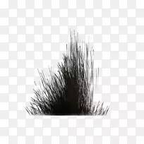 Ö²±»ÕÓÔó²Ý-Ö²±»-¿ÕÈôÍø Ö²±»ÕÓÔó²Ý-Ö²±»-¿ÕÈôÍø