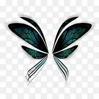 实物蝴蝶翅膀-空若网 实物蝴蝶翅膀-空若网
