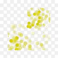 眩光 白色-空若网 眩光 白色-空若网