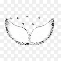 翅膀-空若网 翅膀-空若网