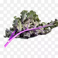 叶菜甘蓝-空若网 叶菜甘蓝-空若网