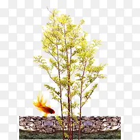 石墙树枝树叶-空若网 石墙树枝树叶-空若网