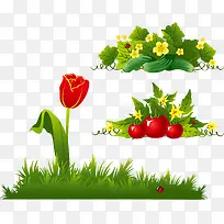 草地花园水果郁金香矢量-空若网 草地花园水果郁金香矢量-空若网
