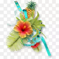 热带切花热带花卉-空若网 热带切花热带花卉-空若网