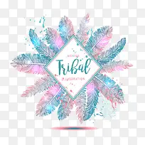 多彩的羽毛-空若网 多彩的羽毛-空若网