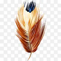 卡通多彩羽毛-空若网 卡通多彩羽毛-空若网